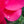 Load image into Gallery viewer, Cyclamen - Other Houseplants - Houseplants

