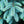 Load image into Gallery viewer, Bizon Blue Colorado Blue Spruce - Spruce - Conifers
