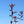 Load image into Gallery viewer, Canada Red Chokecherry
