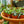 Load image into Gallery viewer, Assorted Strings - Strings - Houseplants
